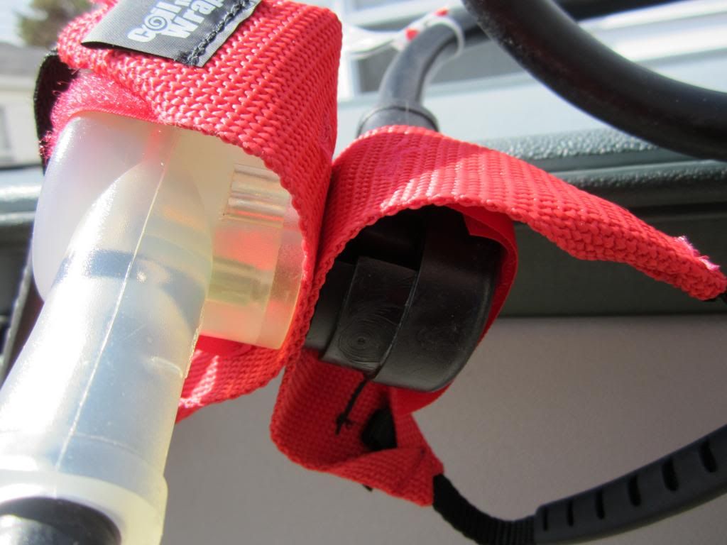 Meryl and Me Hit the Road Plug Dogs for Your Shore Power Connections